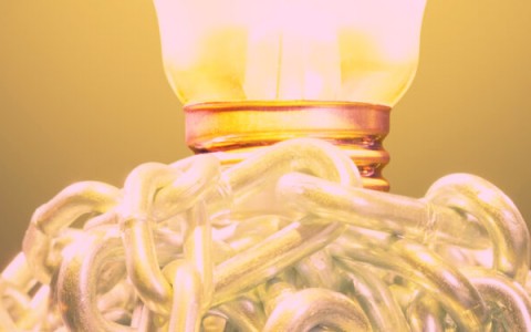 Impact van innovatie in sierteeltlogistiek (Wematrans)