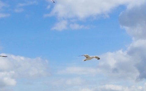 Living Lab Xchange: versterken van de onderzoeksinfrastructuur