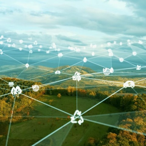 ADAPTATION (Adaptive Planning with Advance Traffic Information)
