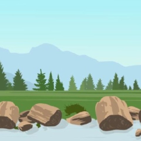 PIONEER: Physical Internet, an Outlook on Neighbourhood and Environment for E-commerce Retail