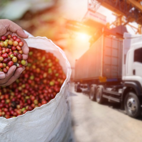 Quality Controlled Logistics in IoT-enabled Perishable Supply Chains