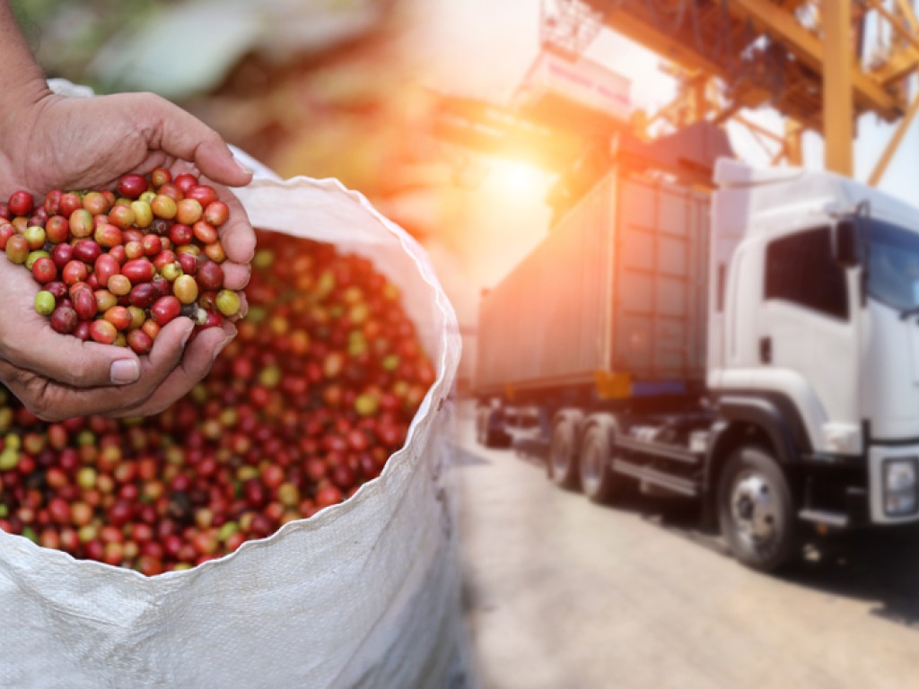 Quality Controlled Logistics in IoT-enabled Perishable Supply Chains