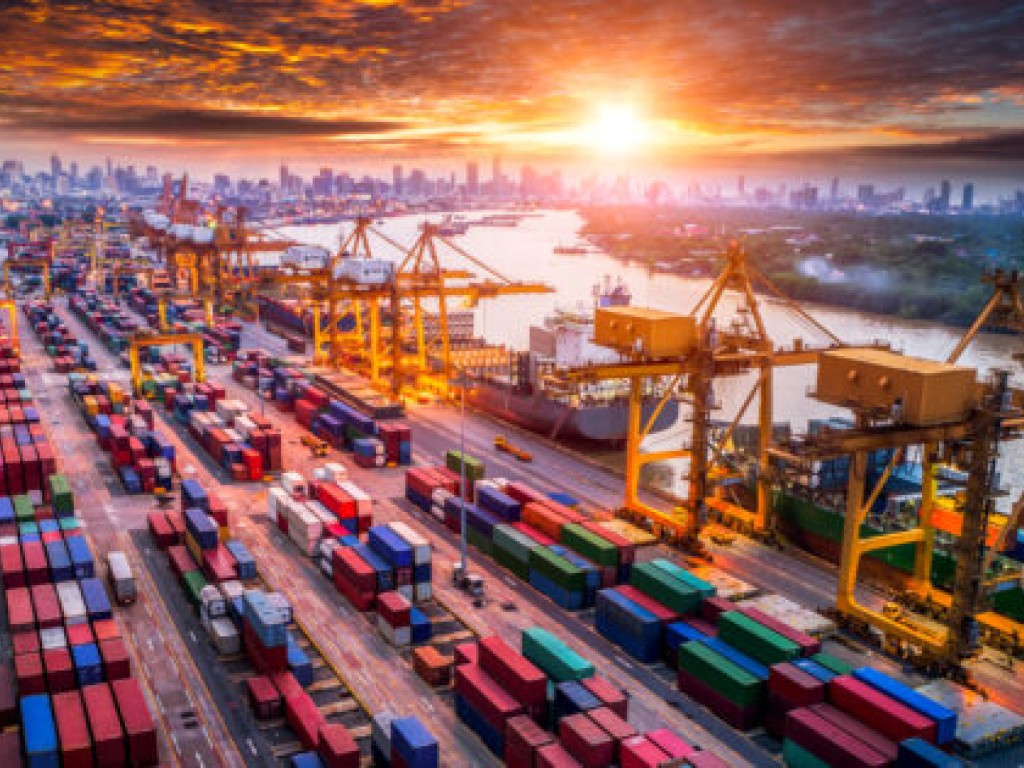 SOL Port (Self Organizing Logistics in the port)