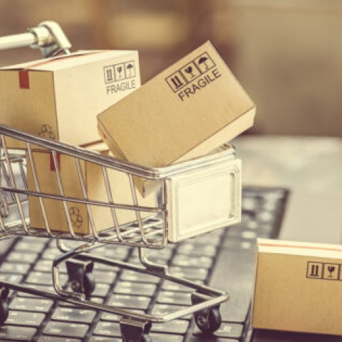 SOLiD: Self-Organising Logistics in Distribution