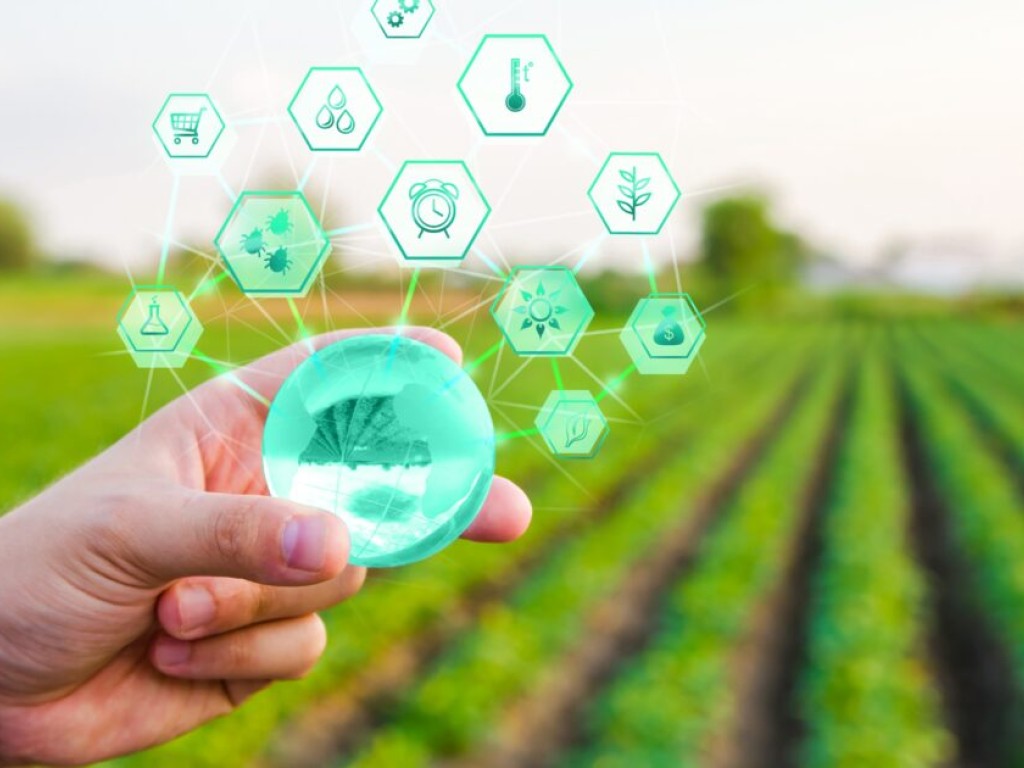 Understanding and leveraging B2B behavior for improved supply chain sustainability