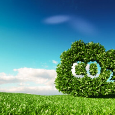 Yard Emission monitoring for Sustainability (YES)