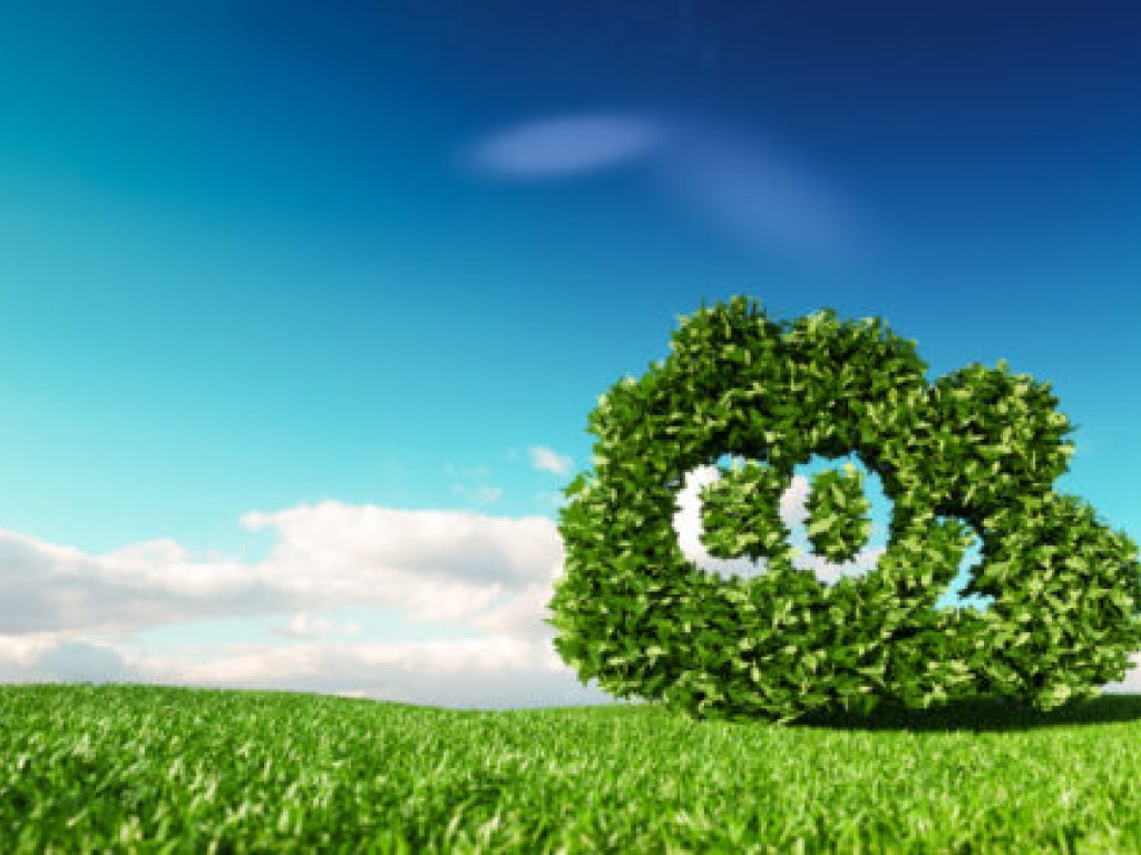 Yard Emission monitoring for Sustainability (YES)